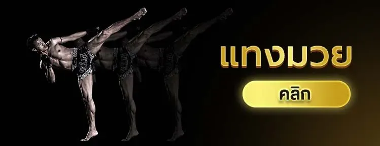 muay-thai-LEKDEDPRO